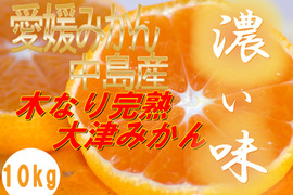 濃厚完熟　大津みかん　ご家庭用・10ｋｇ