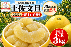 土佐文旦 小玉3kg 家庭用｜一人1玉食べ切り｜約7～9玉｜発祥の地・高知県土佐市産｜30日以上低温熟成｜日本ギフト大賞受賞｜柑橘・果物のお取り寄せ｜2027年先行予約｜やの一果彩