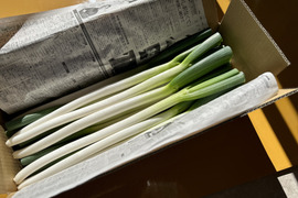 甘くてとろとろ！三瓶町志学産の『白ネギ』(３kg)