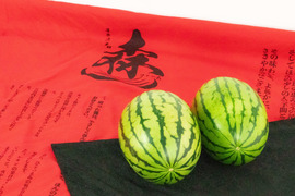 【ギフト・お中元用】スーパーには流通しにくい『激甘うりぼースイカ』（Lサイズ2玉入り：3人家族）