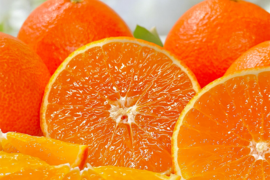 【贈答用】完熟ハウス 福まどんな《秀品 2kg》｜愛媛・西宇和産 【冬ギフト】