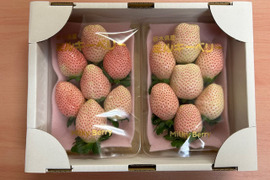 『ミルキーベリー』フレーズのこだわりいちご270×2パック