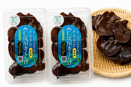 有機JAS認証 高知県仁淀川町産 生きくらげ1kg（500g×2P）｜肉厚ぷりぷり・季節限定