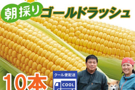 『とうもろこし スイートコーン（ゴールドラッシュ）１０本』発送当日に収穫したものを南房総の農家から直送！