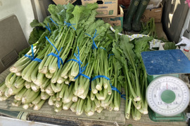 【雪下野沢菜】発祥の地域産、大量10kg