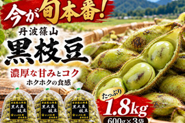 【今が旬本番！】【朝どれ】丹波篠山 黒枝豆 1.8kg（600g×3袋）濃厚な甘み 大粒 ホクホク食感 産地直送 期間限定 贈答用にも最適 大粒 最高級 枝豆 丹波篠山の黒枝豆 数量限定