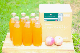 【訳あり/ラベルレス】濃厚りんごジュース 完熟青森りんご100％『しぼってそのまんま』（1Ｌ×6本入）