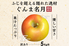 発送中！【このりんごを嫌いな人はいますか？？】名月 5キロ箱 訳あり品 商品ID75987 長野県 信州 安曇野 リンゴ 幻 幻のリンゴ 予約 希少 旬 甘い