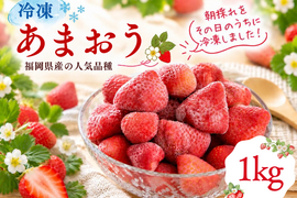 【予約販売 2027年1月中旬～順次発送】【冷凍いちご】あまおういちご たっぷり 1㎏