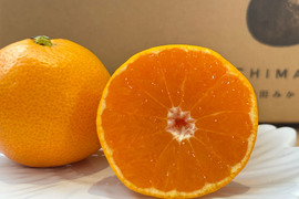 みかんRAs-Studio 　白 かぎろひ：グラス (L) ペア GIFT | ガラス製品 | Sghr