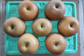 【大玉サイズ】あきづき  3kg(7玉)