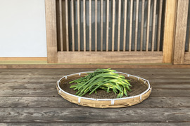 自然栽培のにんにくの芽　1Kg