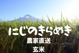令和7年産 にじのきらめき 静岡産 玄米 20kg ふっくら炊き上がり 甘みと香りが際立つ 富士の恵みのお米