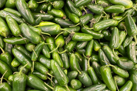 【栽培期間中　農薬不使用】爽やかな辛さで肉厚プリプリのハラペーニョ（300グラム）