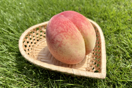 あらかわの桃 訳あり お得 『旬おまかせ』（5〜6玉）