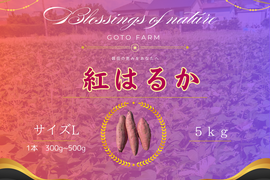 磐田の恵みネットリ甘い紅はるかL(10kg）