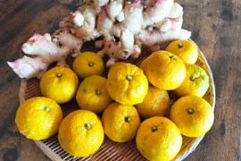 温活🍊🫚【福袋】新生姜＆柚子のぽかぽかセット♨️《岡山県産》（計1.7kg）