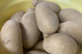 じゃがいも〈メークイン〉3kg【訳あり含む:栽培期間中農薬不使用】