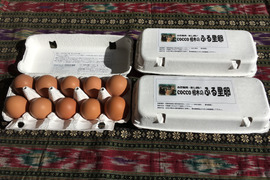 【加熱調理用】放し飼いの鶏が産んだ卵３０個入り