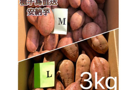 【絶品】種子島産 安納芋 M&L 混合3kg(箱別)