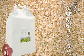 令和4年 噛めば噛むほど旨味がでてくる茨城県産コシヒカリ 玄米【一等米】【10kg】