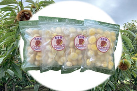 【先行予約】ほっこり甘さ凝縮！『冷凍むき栗』山鹿和栗 （250g×4パック）１ｋｇ箱入り