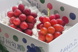 先行予約【クイーンルージュ】皮ごと食べられる希少品種！甘さ際立つ高級ぶどう！2kg