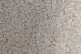 【お試し】緑肥栽培のお米　ヒノヒカリ　福岡産　1.5kg　7年産