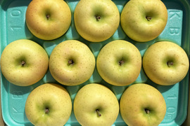 【ご予約受付中】夏の青りんご🍏きおう3kg🍏青森県特別栽培認証 皮ごとおいしい🍴キズなし良品🎁化学肥料不使用 低農薬