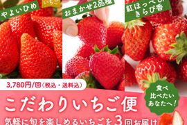 【完売御礼】【限定100セット】こだわりいちご便🍓（食べチョク公式）