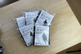 越前産 天然 干し板わかめ 20g 5パック
