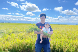 美味しい美味しいひとめぼれ！　精米１０キロ