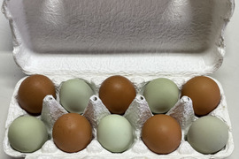 平飼い　飛鳥の卵と碧い瞳のラピィスの卵のコラボレーション40個〜見てよし、食べてよし、贈ってよし〜こってり卵にさようなら