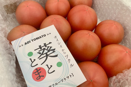 【贈答用B】1.4kg 凝縮大玉塩フルーツトマト