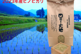 新米！四億年の大地米ヒノヒカリ　玄米5㎏　2023年度
