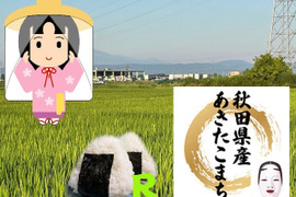 【令和８年新米】秋田県産あきたこまちＲ「玄米」２０ｋｇ