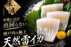 🐟旨味凝縮🐟プリとろ食感⭐︎天然国産『雷イカ』長州床波ブランドお試し約200gお刺身用【朝どれ】【2027年5月下旬】