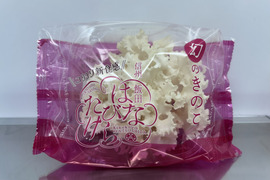 【幻のきのこ】森の白き花。コリコリ食感の生ハナビラタケ（徳用80ｇ10袋）