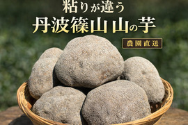 【R8年産 先行予約開始】丹波篠山産 山の芋 1kg 粘りが違う本場の味 とろろ最高級 山芋 家庭用 サイズお任せ 農家直送 家庭用 きりいも  大和芋 つくね芋 山芋 栄養満点 とろろ芋