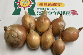 淡路島玉ねぎ　訳あり品 １０ｋｇ　お買い得！残留農薬不検出。