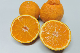 甘くてジューシー！『広島県産しらぬい』10kg（40個前後）