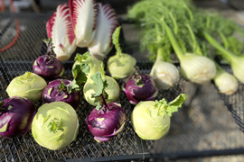 アグリージョのイタリア野菜お試しセット（3〜5名用）80サイズ