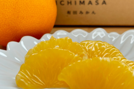 【木成り八朔】箱込み5キロ家庭用　※皮むき器つき　さつき八朔　はっさく