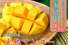 【2022年順次発送】沖縄県産完熟マンゴー２kg（ご家庭用4玉〜5玉）よなファーム八重瀬