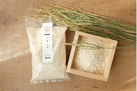 【自然栽培 天然糀】和醸 米糀　3個セット