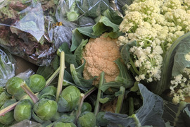 ❄☃️７品冬の野菜セット☃️❄