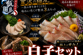 【海鮮通だけが辿り着く幻の白子】フグ白子級の濃厚クリーミー体験☆極上刺身×濃厚アラ付き「メジナ豪華3点セット」甑島ブランド【【3月中旬予約】