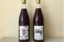 完熟巨峰とコンコードのジュースセット（各720ml1本づつ合計2本入り）