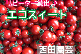 爽やかな甘さと酸味で大人気 糖度9～12度 ミニトマト 　バラ1.8kg
