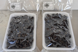 『とれたて新鮮』十三湖産大和しじみ　中サイズ500ｇ×2Ｐ